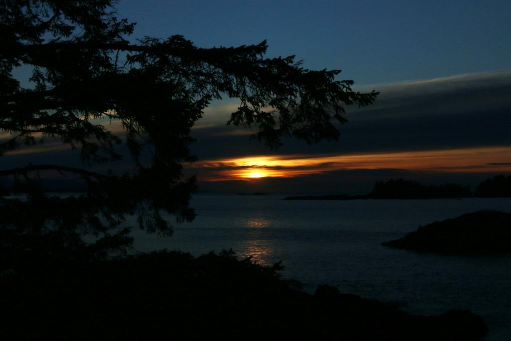 Melfort Bell Guest Suites Ucluelet Exterior photo